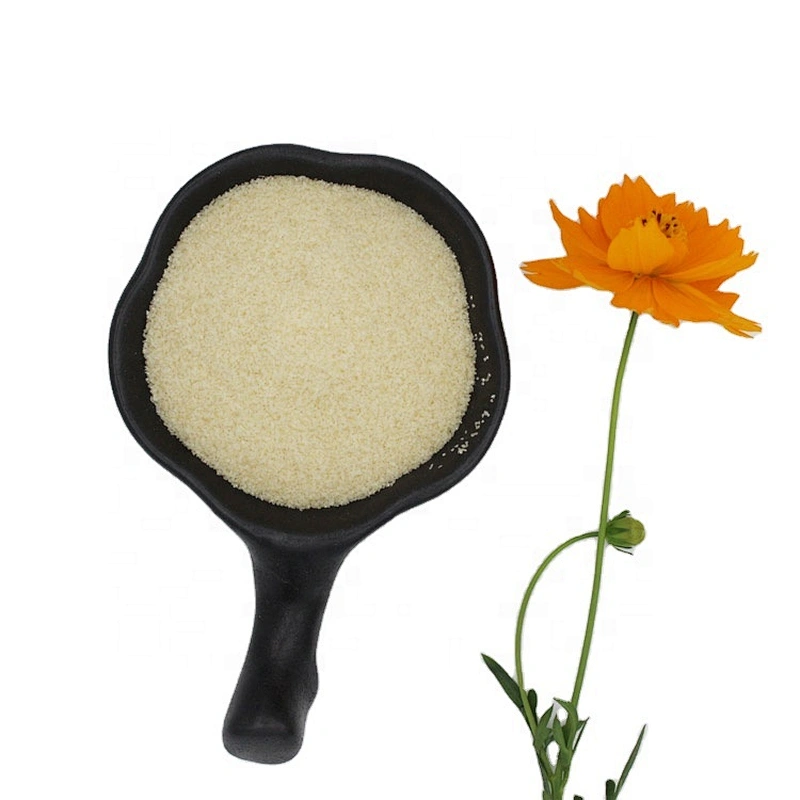 Reasonable price food grade gelatin from gelatin manufacturer for all markets